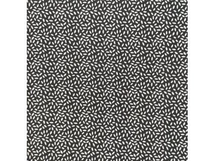 B Bílá rýže na černé