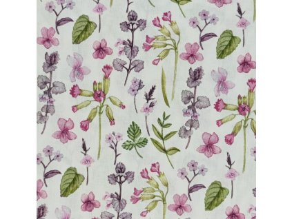 B Petrklíče růžové