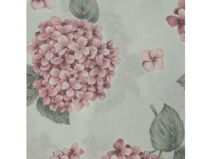 B Hortenzie růžové