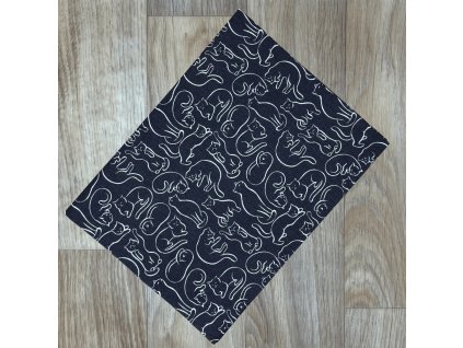 O Kočky na antracitové