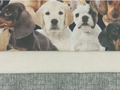 Balíček Štěňata