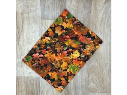 Obdélník Listí barevné