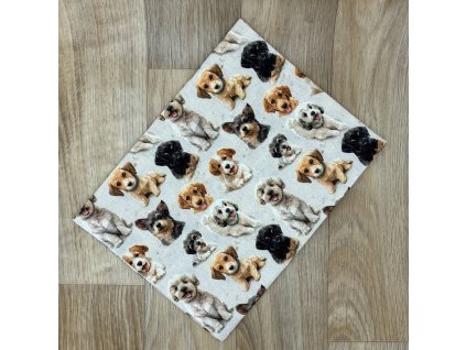 Obdélník Štěňátka