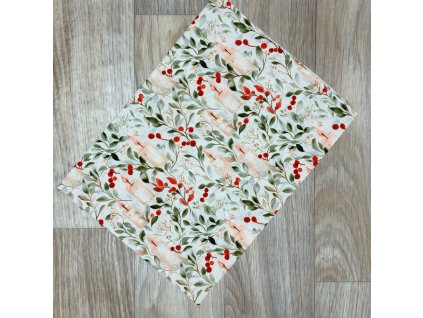 O Betlémské světlo