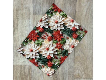 Obdélník Vánoční hvězda