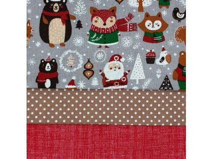 B Zvířátka v zimě