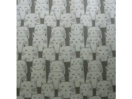 B Kočičí hlavy velké