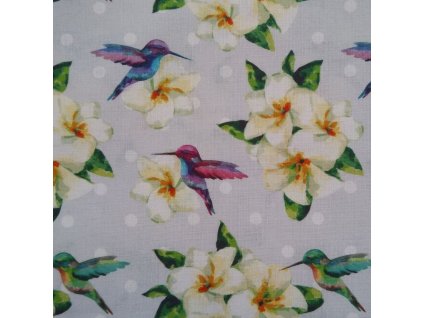 B Kolibříci s květinami