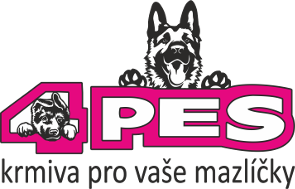 4pes.cz