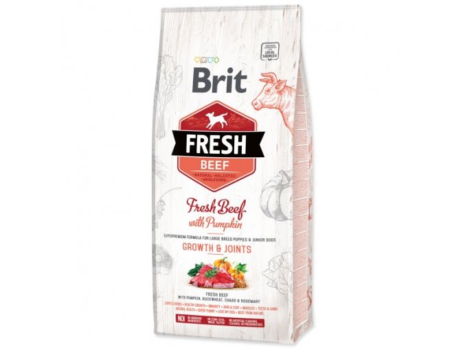 granule Brit Fresh Beef with Pumpkin Puppy Large