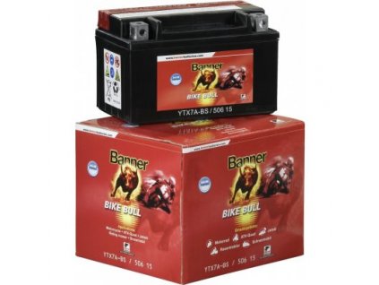 Banner Bike Bull AGM 12V YTX4L-BS