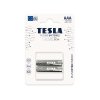 Tesla Baterie Silver AAA 2019