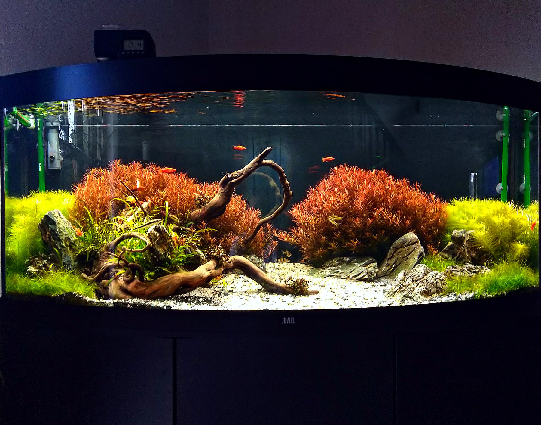 Aquascaping – realizace akvária