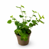 ChatGPT Image 30. 6. 2026 10 57 54
