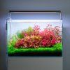 16028 1 16028 1 600s lightcontrol aquacape60ps 768x768