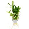 Obrázek 133