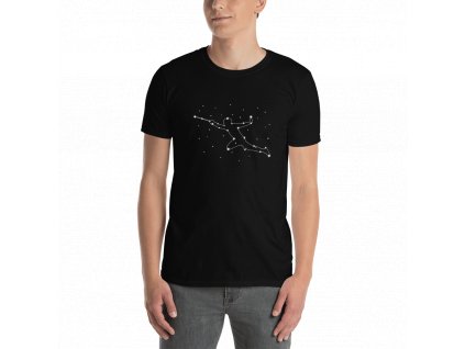 Fencing Star Constellation tshirt design mockup Front Mens 2 Black