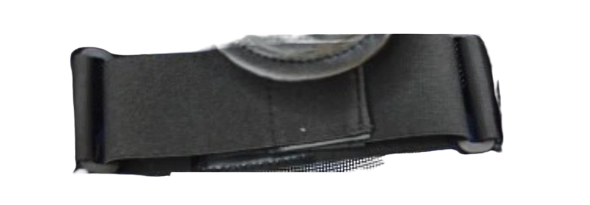 pasek removebg preview