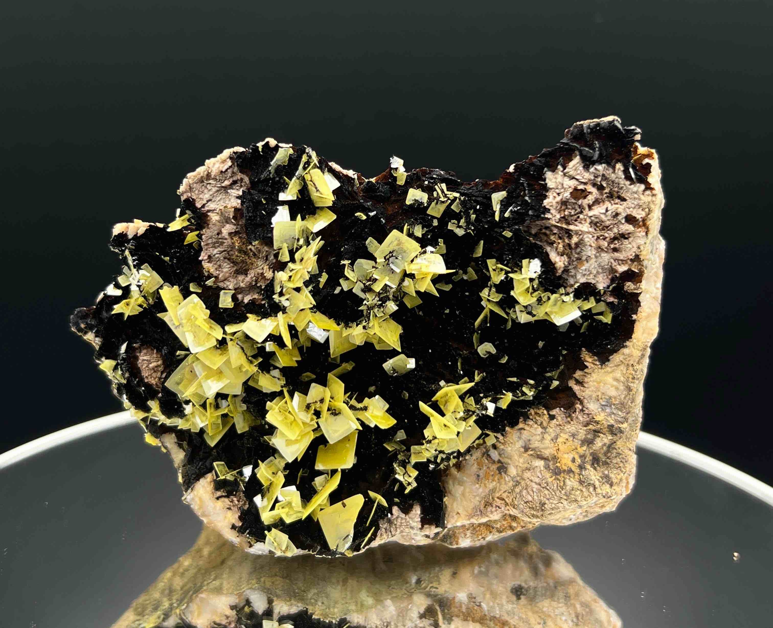 Kolekce vzácných marockých minerálů – ametysty, acháty a zkameněliny z pohoří Atlas