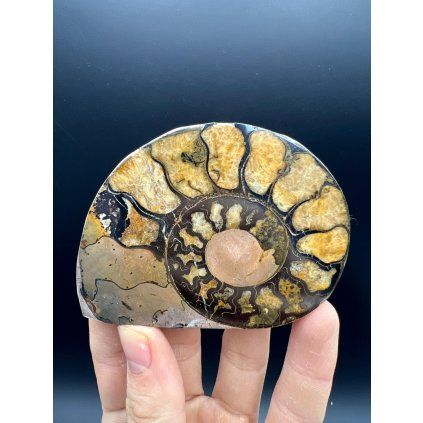 e34e07a5 7956 4ac2 b5ce 8a303043c236