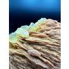 Baryt a Fluorit Sidi Ayad, Maroko (8x6x2 cm) krystaly