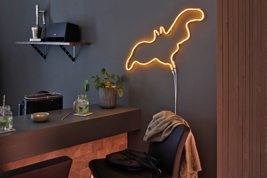 Paulmann Neon Colorflex