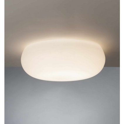 Lucis Champignon