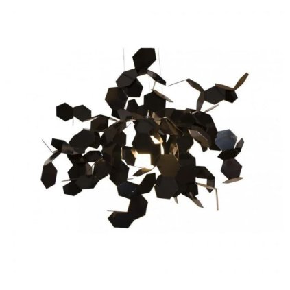 andromeda susp. black 1