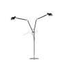 Tolomeo double