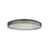 CITADELA 2 C (1)