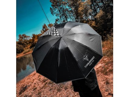 Rainsheld V4 0