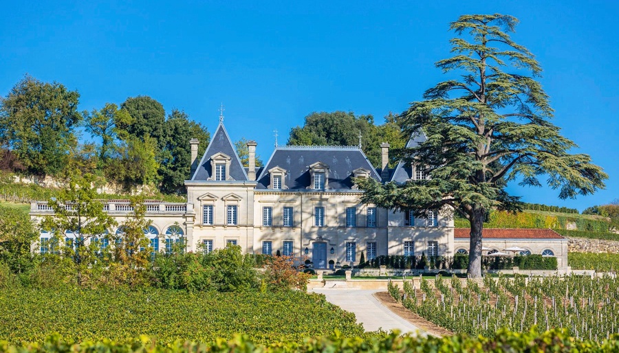 CHATEAU FONPLEGADE property