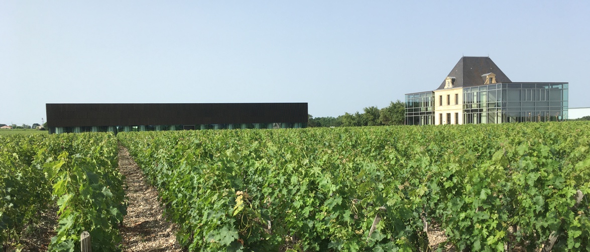 chateau-pedesclaux-pauillac-bordeaux-7deci-com