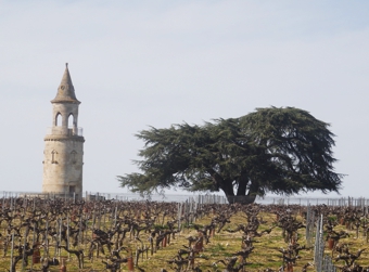 chateau-tour-de-by-medoc-7deci-tower