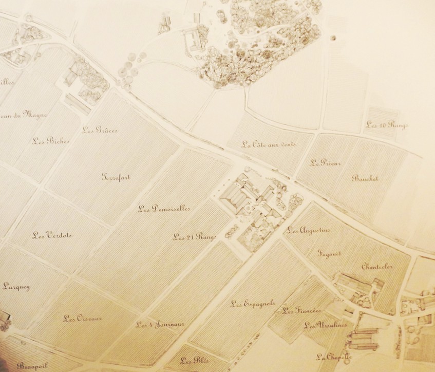 chateau-angelus-map-7deci
