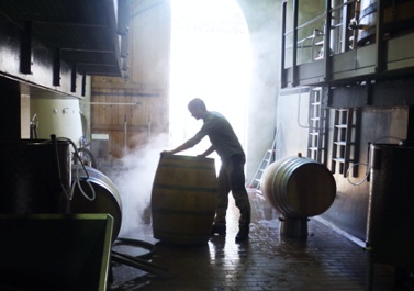 Chateau-Canon-la-Gaffelière-st-emilion-7deci-2018