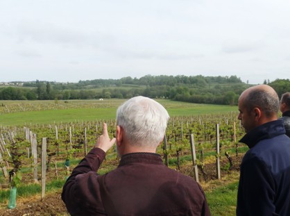 chateau-haut-fayan-Puisseguin-Saint-Emilion-7deci-2018