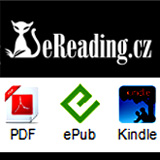 Elektronické knihy e-book