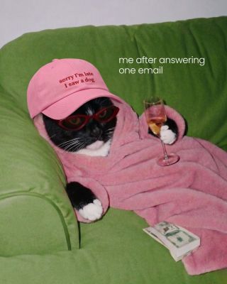 our mood today... 😂😎 pošli to někomu, kdo si po jednom e-mailu zaslouží zbytek dne volno!