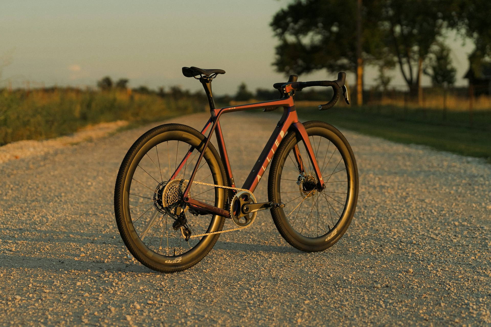 ALLIED Custom bike