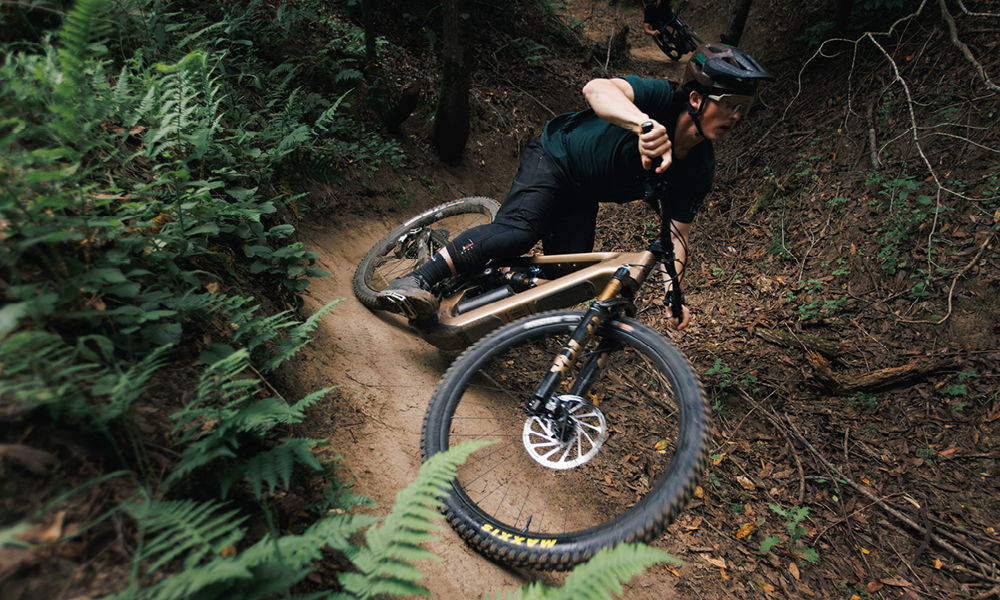 Ibis Oso HD Kodiak Gold