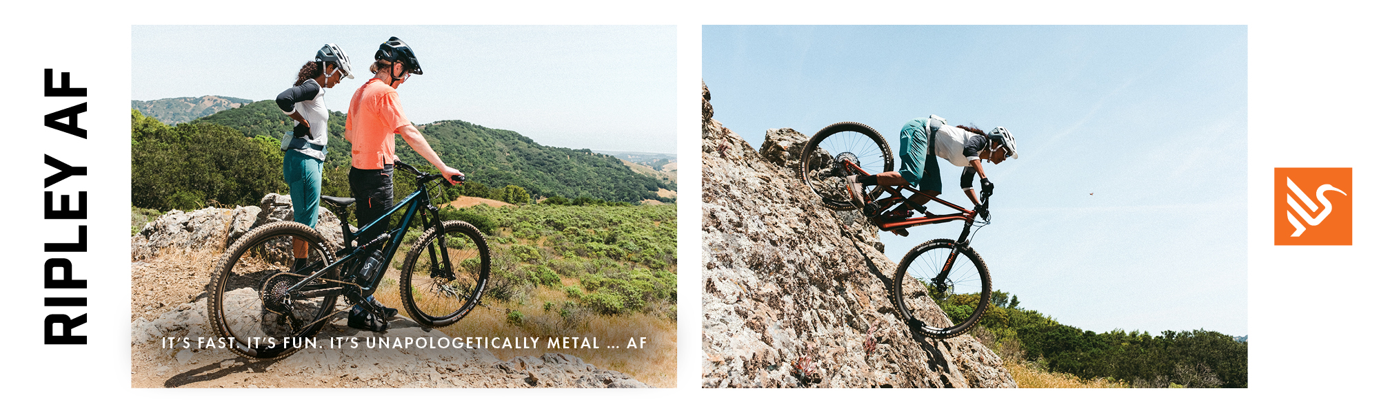Ibis Ripley AF trail riding