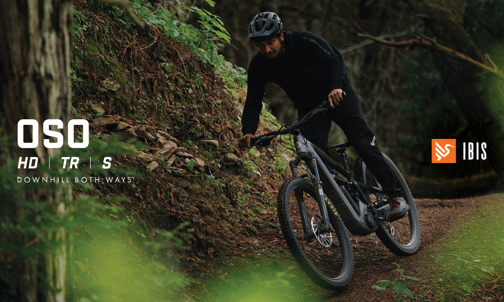 Ibis Oso TR