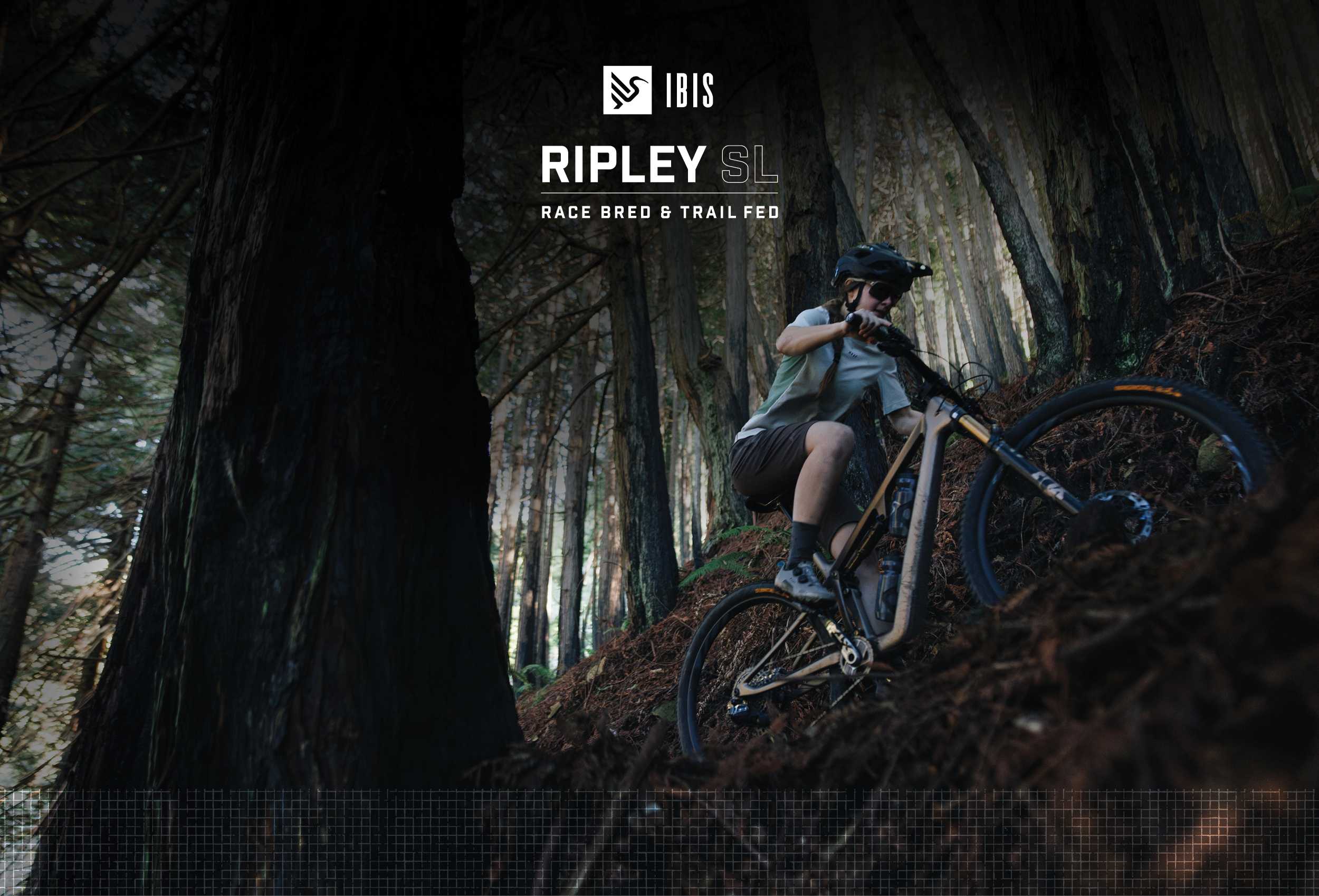 Ibis Ripley SL