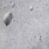 Beton