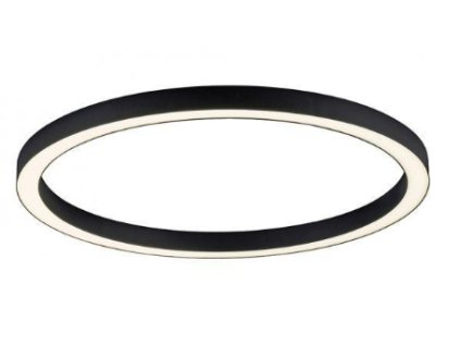 Paul Neuhaus PURE-LINES 70, Stropní kruhové svítidlo, Antracit CCT 2700-5000K