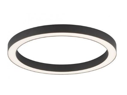 Paul Neuhaus PURE-LINES 50, Stropní kruhové svítidlo, Antracit CCT 2700-5000K