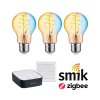 Startovací sada Zigbee 3.0 LED žárovka Filament E27 měnitelná bílá + Gateway smik + vypínač - PAULMANN