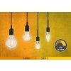 LED Globe 7 W E27 1.800 - 3.000K dim to warm - PAULMANN