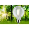 Eco-Line Filament 230V LED Globe G95 E27 4W 3000K čirá - PAULMANN